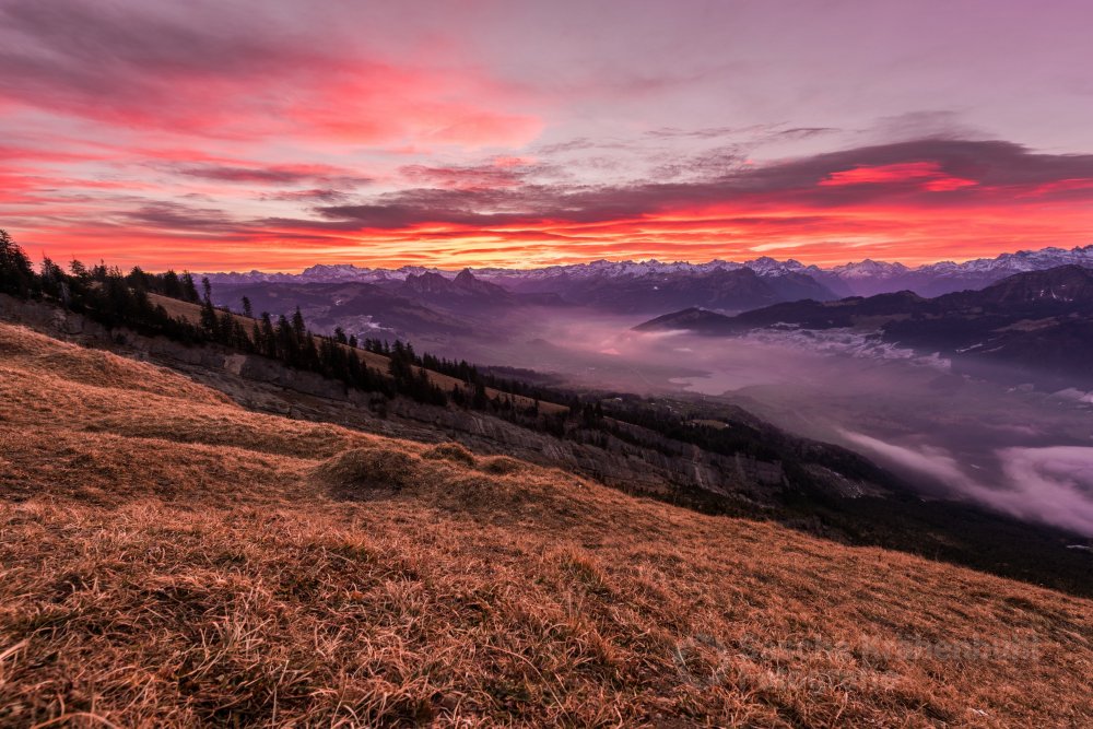 Morgenrot Weihnachten 2016 - Alle Jahre wieder verbringe ich den Sonnenaufgang am Weihnachtstag mit einem weiteren Fotograf auf dem Wildspitz bzw. Gnipen. So auch an den grünen Weihnachten 2016. (Sascha Krähenbühl Fotografie) - Schalgwörter: Alpen ,Berge ,blickheimat ,Fotografie ,Gnipen ,LakeLucerneRegion ,Landschaft ,Landschaftsfotograf ,Landschaftsfotografie ,Lauerz ,Lauerzersee ,Morgenrot ,Mythen ,Natur ,NikonSwitzerland ,Schweiz ,Schwyz ,Sonnenaufgang ,VerliebtInDieSchweiz ,Wildspitz ,Winter ,Zentralschweiz