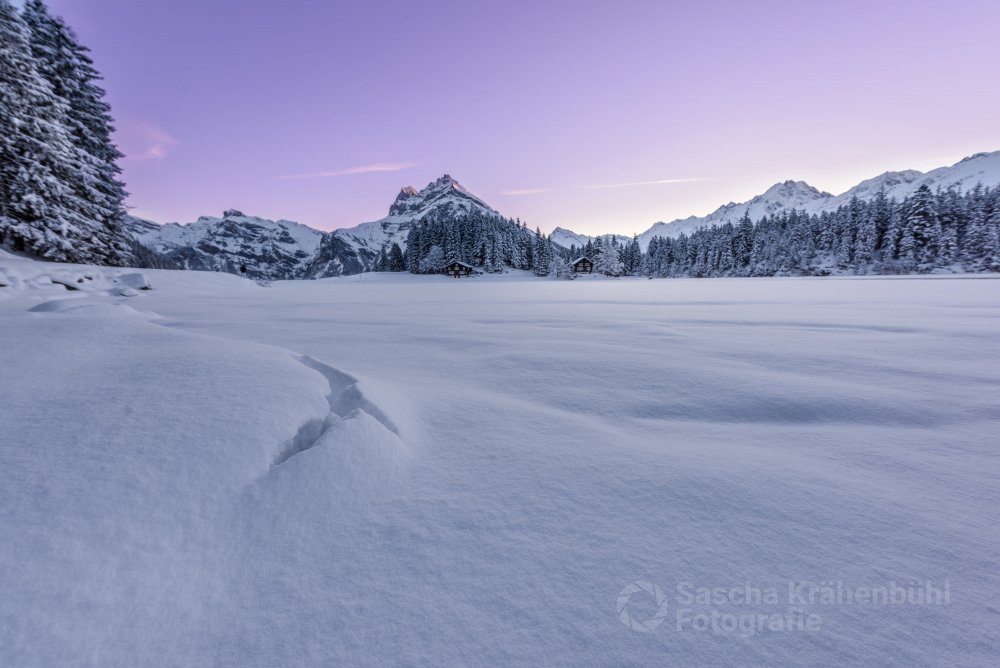 Arnisee im Neuschnee - Nirgends sonst können die vier Jahreszeiten so intensiv wahrgenommen werden wie auf der Sonnenterrasse Arnisee auf 1300 Meter im Kanton Uri. (Sascha Krähenbühl Fotografie) - Schalgwörter: Alpen ,Arni ,Arnisee ,Berge ,blickheimat ,Fotografie ,Himmel ,LakeLucerneRegion ,Landschaft ,Landschaftsfotograf ,Landschaftsfotografie ,Morgen ,Natur ,NikonSwitzerland ,Schnee ,Schweiz ,See ,Sonnenaufgang ,Uri ,VerliebtInDieSchweiz ,VisitUri ,Winter ,Zentralschweiz
